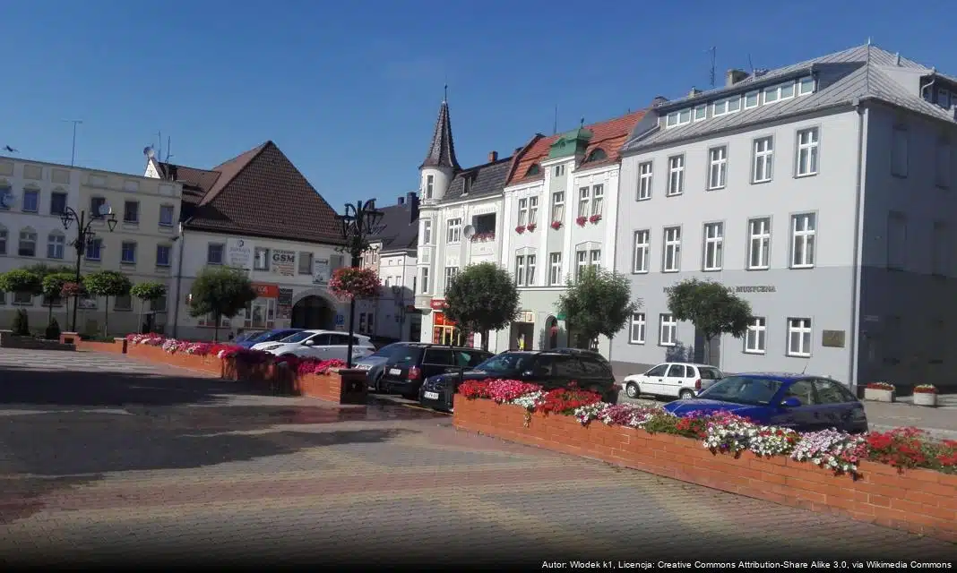 Sukcesy krapkowickich sportowców podczas uroczystości podsumowującej